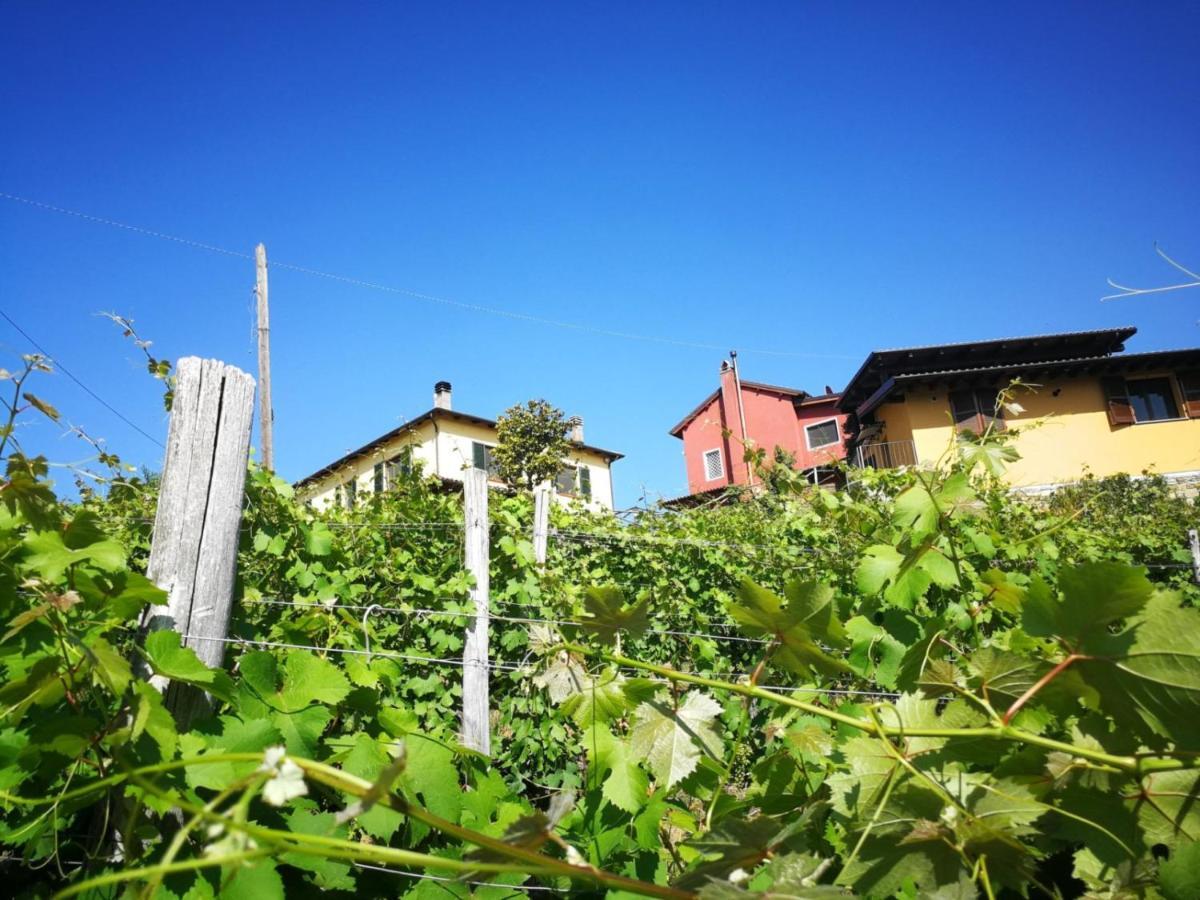 Tenuta Monteoliveto - Family Cottage - Agriturismo Nelle Langhe Vesime Exterior foto
